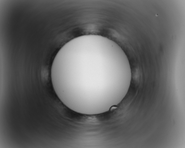 X0000089850715200707121718