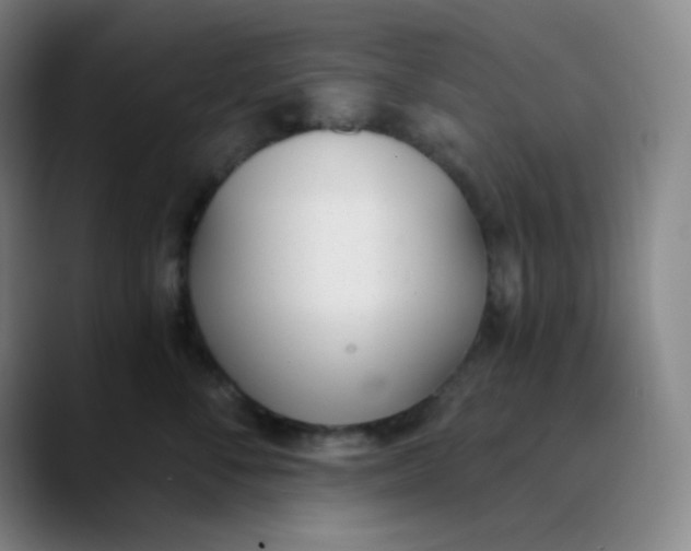 X0000089850716200707121718