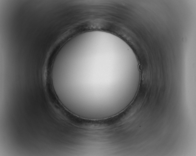 X0000089850722200707121717
