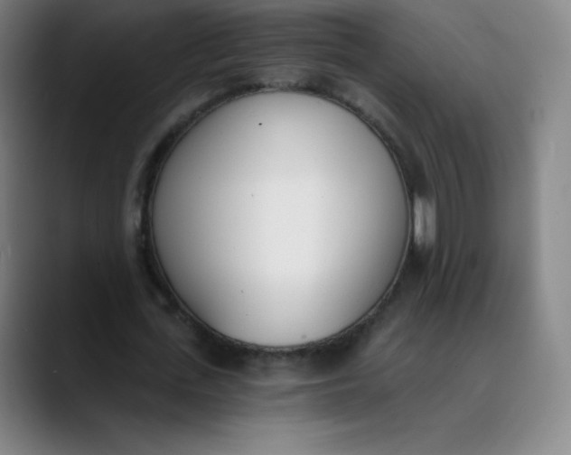 X0000089850723200707121717