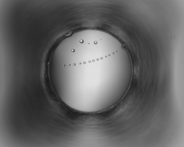 X0000089850724200707121717