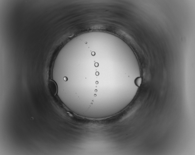 X0000089850725200707121717