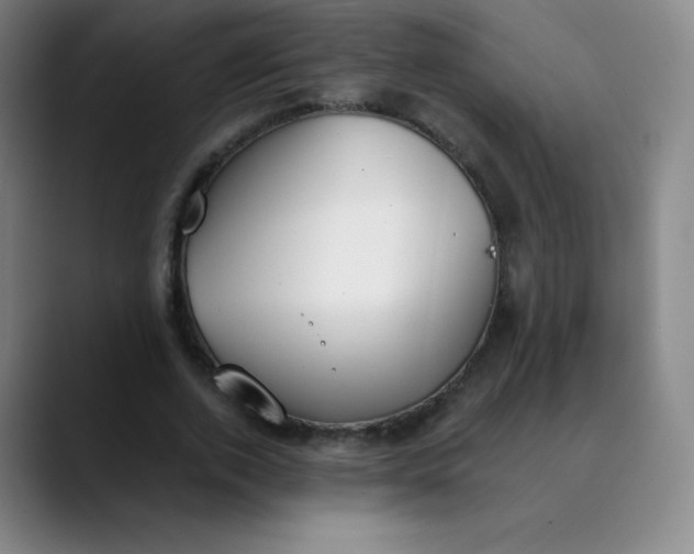 X0000089850728200707121717