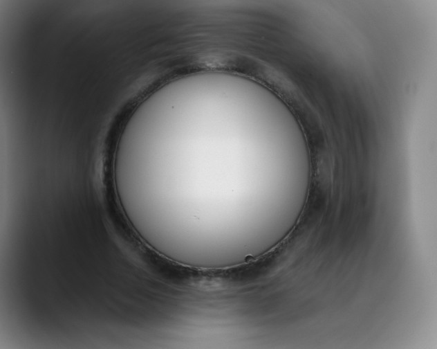X0000089850730200707121717