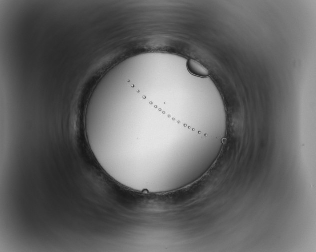 X0000089850732200707121717