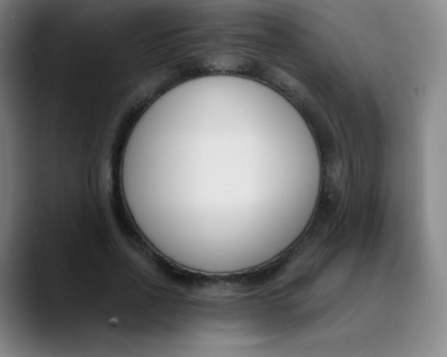X0000089850734200707121717