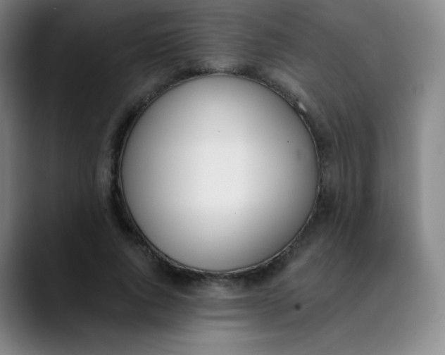X0000089850736200707121717