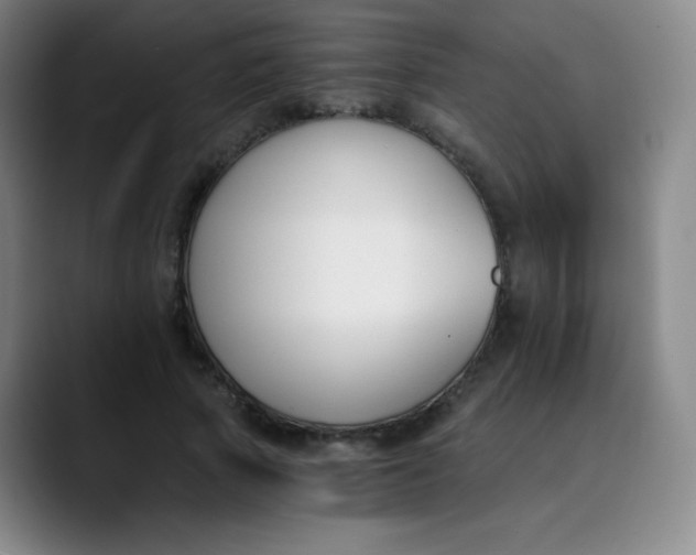X0000089850737200707121717