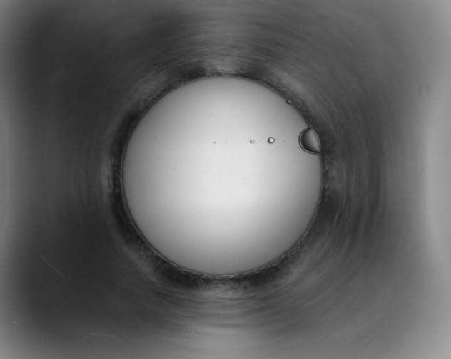 X0000089850738200707121717