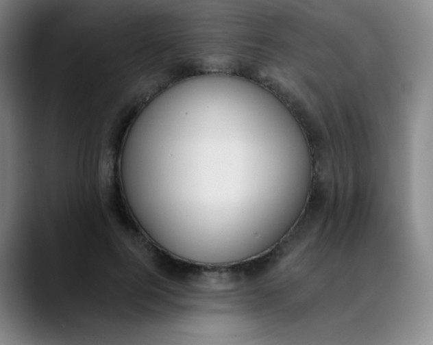 X0000089850744200707121717