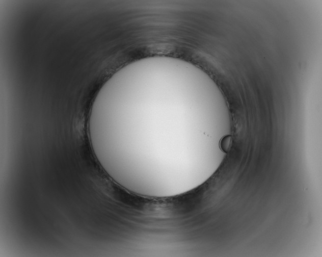 X0000089850745200707121717