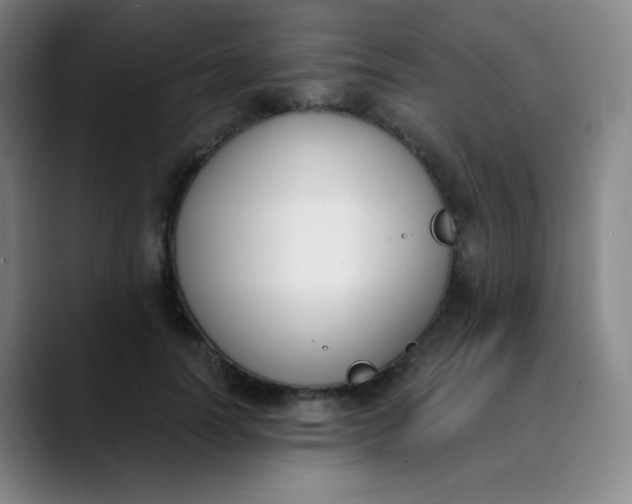 X0000089850746200707121717