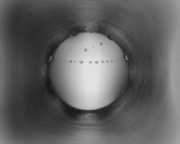 X0000089850748200707121717