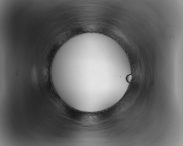 X0000089850749200707121717