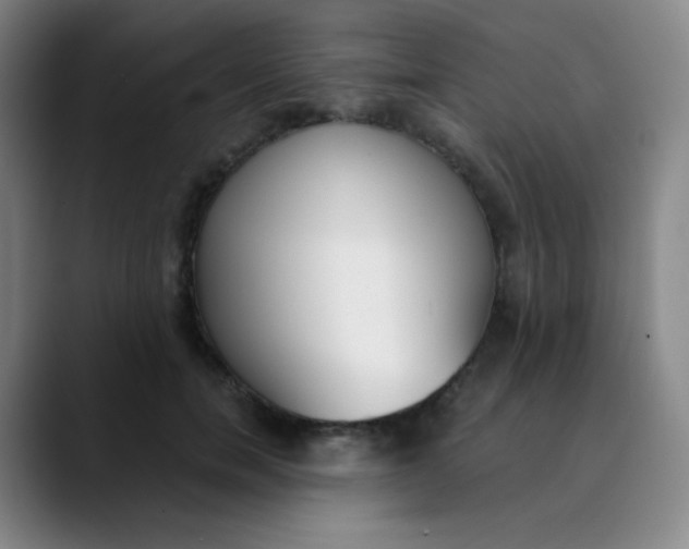 X0000089850750200707121717