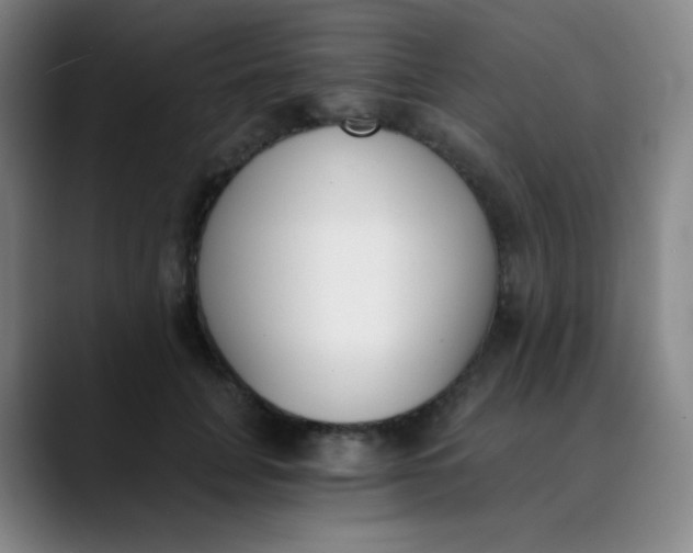 X0000089850751200707121717