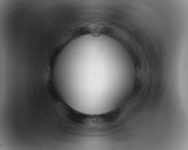 X0000089850752200707121717