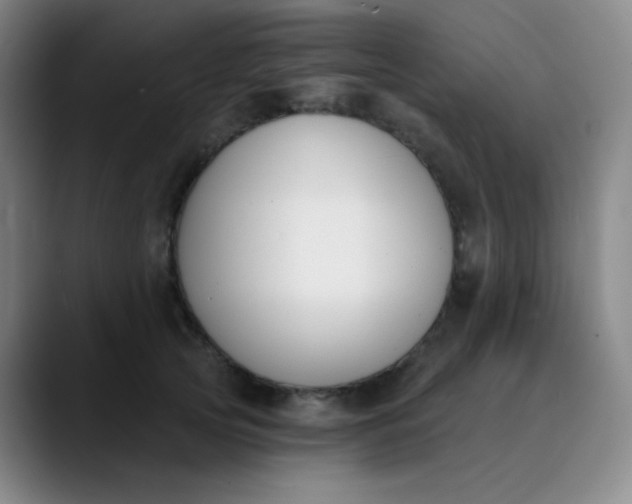 X0000089850753200707121717