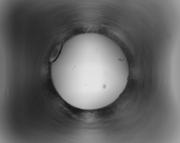 X0000089850756200707121718