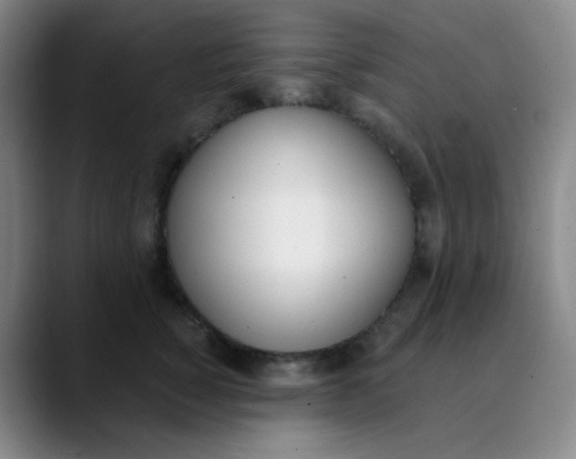 X0000089850760200707121718