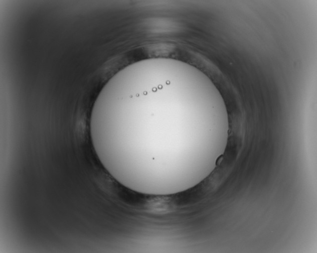 X0000089850761200707121718
