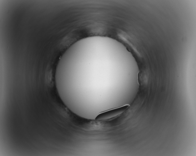 X0000089850764200707121718