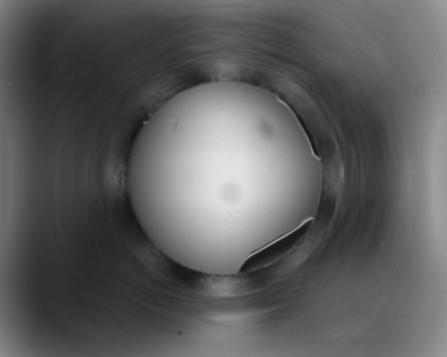 X0000089850766200707121718