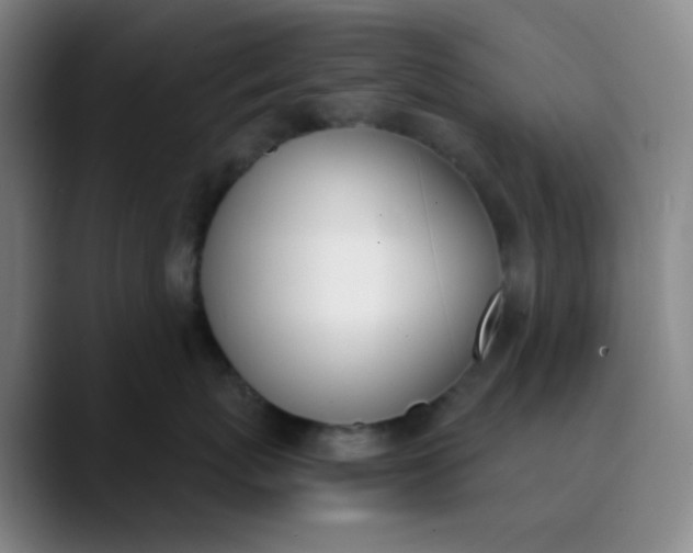 X0000089850767200707121718