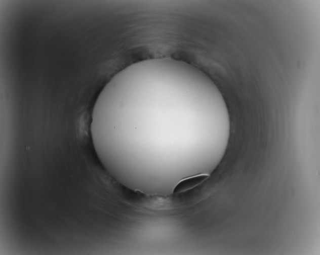X0000089850768200707121718