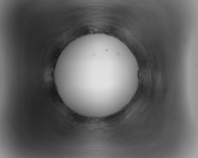 X0000089850770200707121717