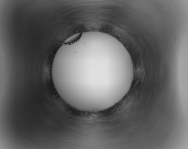 X0000089850772200707121717