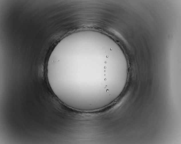 X0000089850777200707121717