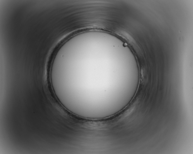 X0000089850780200707121717
