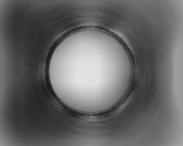 X0000089850783200707121717