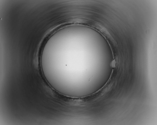 X0000089850784200707121717