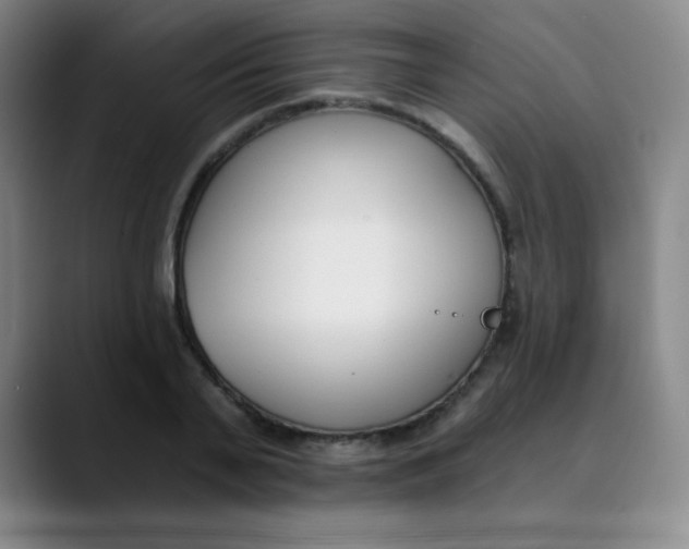 X0000089850791200707121717