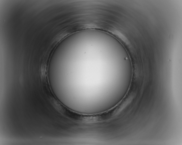 X0000089850793200707121717