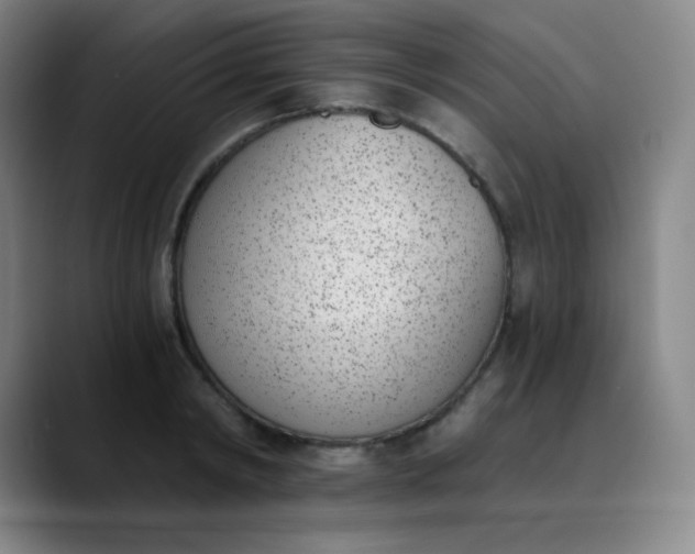 X0000089850798200707121717