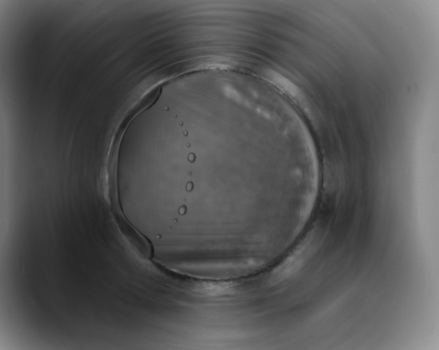 X0000089850802200707121717