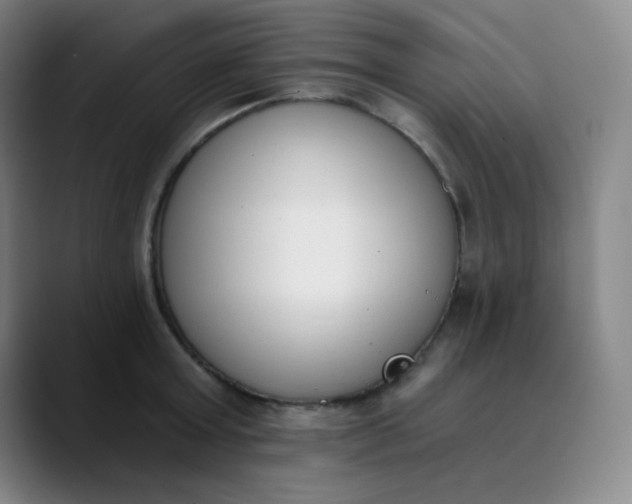 X0000089850803200707121717