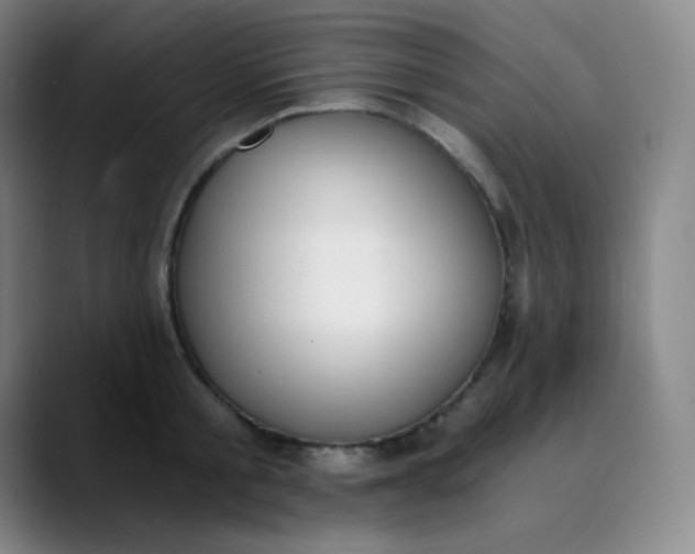X0000089850805200707121717