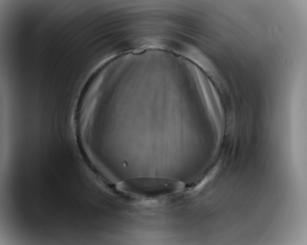 X0000089850806200707121717