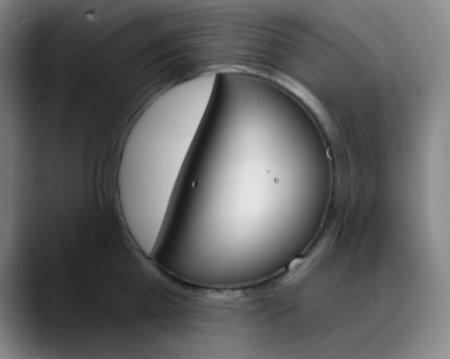 X0000089850809200707121717