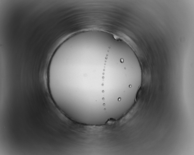 X0000089850812200707121717