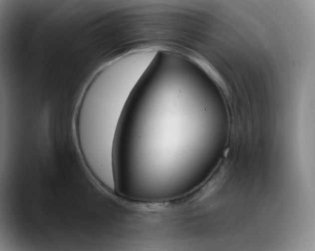 X0000089850813200707121717