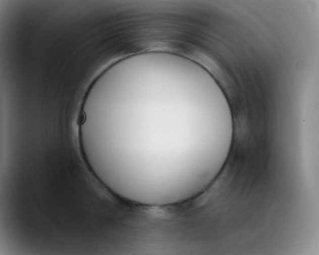 X0000089850814200707121717