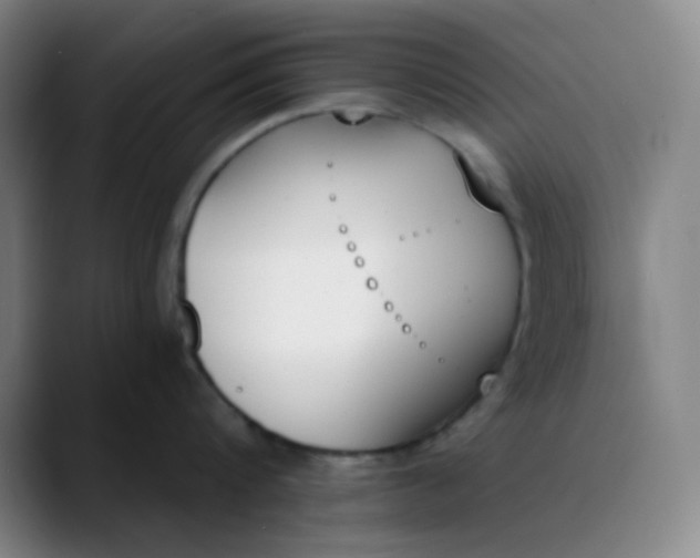 X0000089850816200707121717