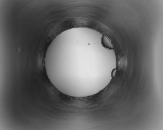 X0000089850819200707121716