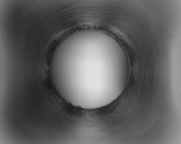 X0000089850822200707121716