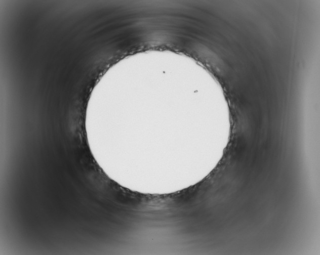 X0000089850824200707121716